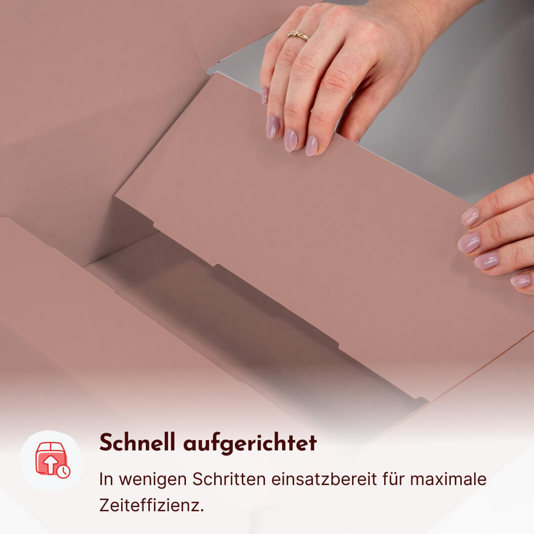 Krempelverpackung aus Pappe mit Staublaschen 250 x 290 x 107 mm, individuell bedruckt